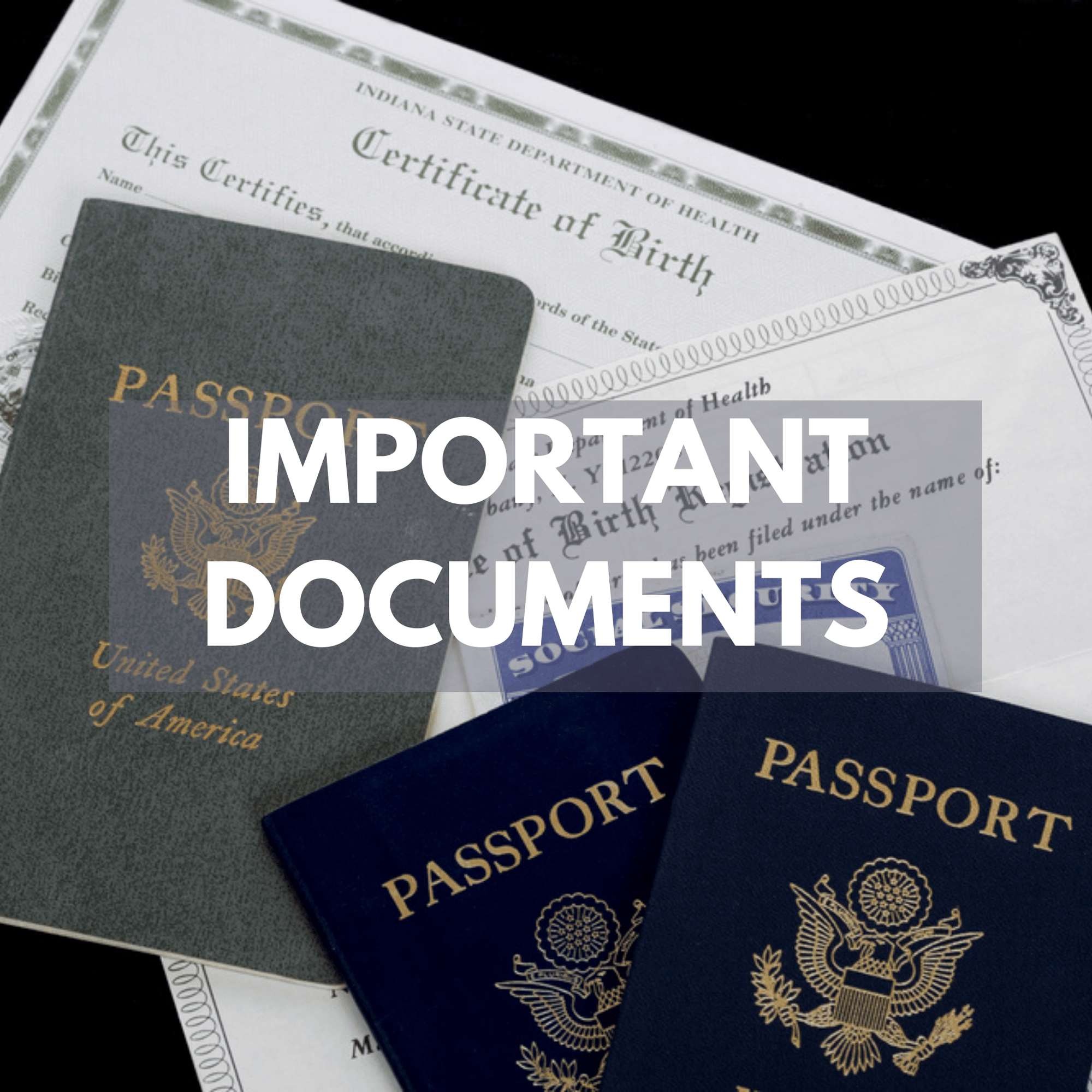 pictures of passports and other important documents
